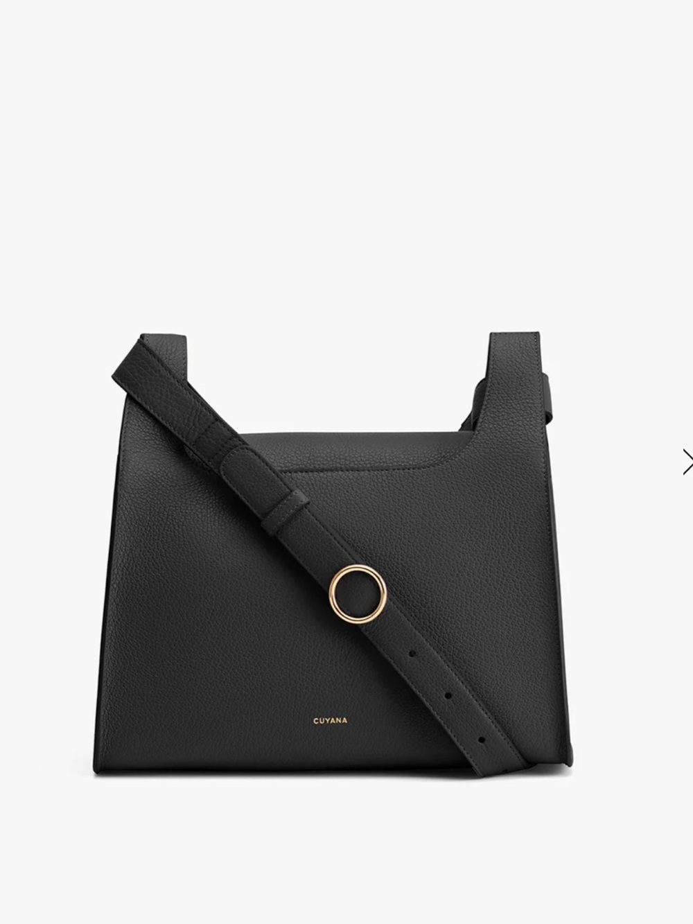 Cuyana || black leather double loop bag